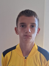 Romano Gabrijel Lozica