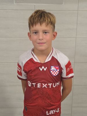 Vid Ferenčević