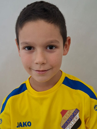 Borna Tomičić