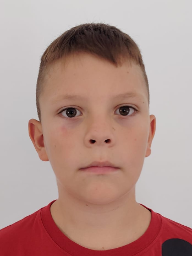Luka Obrstar