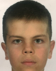 Karlo Borić