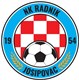 NK Radnik (J)
