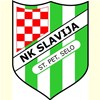 NK Slavija Staro Petrovo Selo