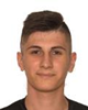 Matija Artić