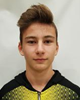 Karlo Budanec