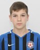 Roko Matulić