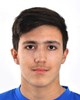 Borna Brzoja
