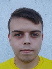 Hrvoje Jakšić
