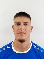 Roko Radić