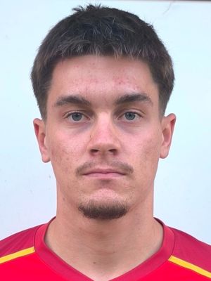 Damjan Tutić