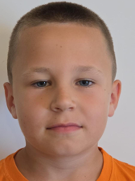 Bruno Bujas