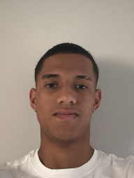 Rafael De Araujo Diniz