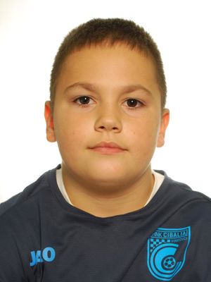 Toma Pavlović