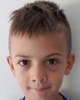 Vid Brodar