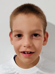 Fran Pleša