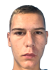 Mihajel Krkač