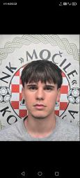 Dino Mujić