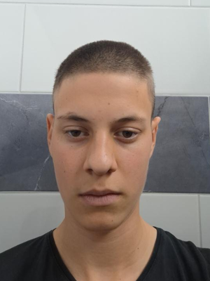 Valentin Dizma Božić