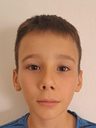 Stjepan Šorgić