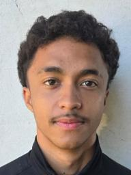 Jose Henrique Lima Honorio