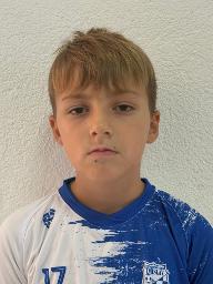 Niko Mlinarević