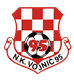 NK Vojnić 95