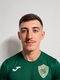 Davor Novak