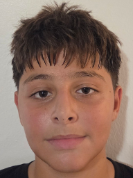 Tarik Ahmeti
