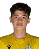 Toma Reić