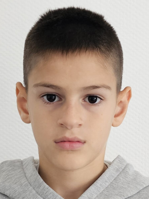 Nikola Brindzej