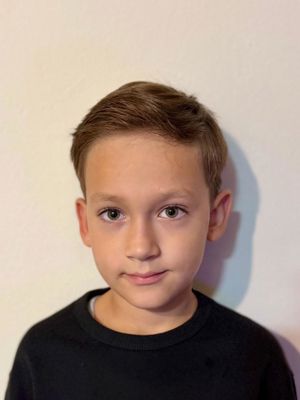 Vice Alebić