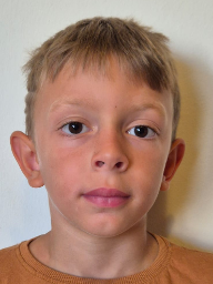 Maksim Štok