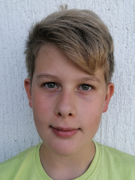 Maksimilian Pavlinić