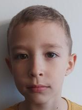 Niko Predojević