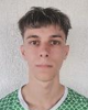 Gabrijel Stavljenić