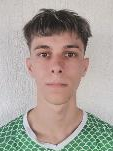 Gabrijel Stavljenić