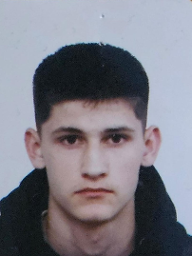Mijo Brzica