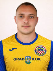 Dane Pavlović