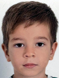 Diego Grubišić