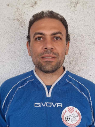 Elsayed Saad Mohamed Ali