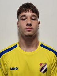 Fran Podhraški