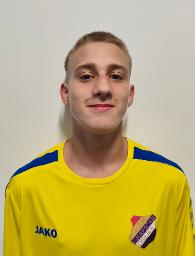 Nikola Serdar