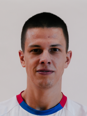 Vinko Vardić