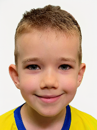 Eldar Bajrektarević