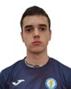Nikola Katavić