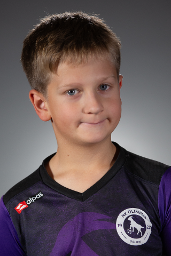 Vid Havidić