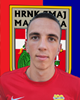 Anđelko Mikulić