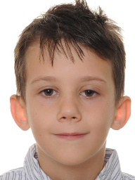 Tomislav Anić