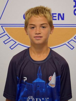 Vjeko Tošić