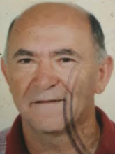 Mato Kampić